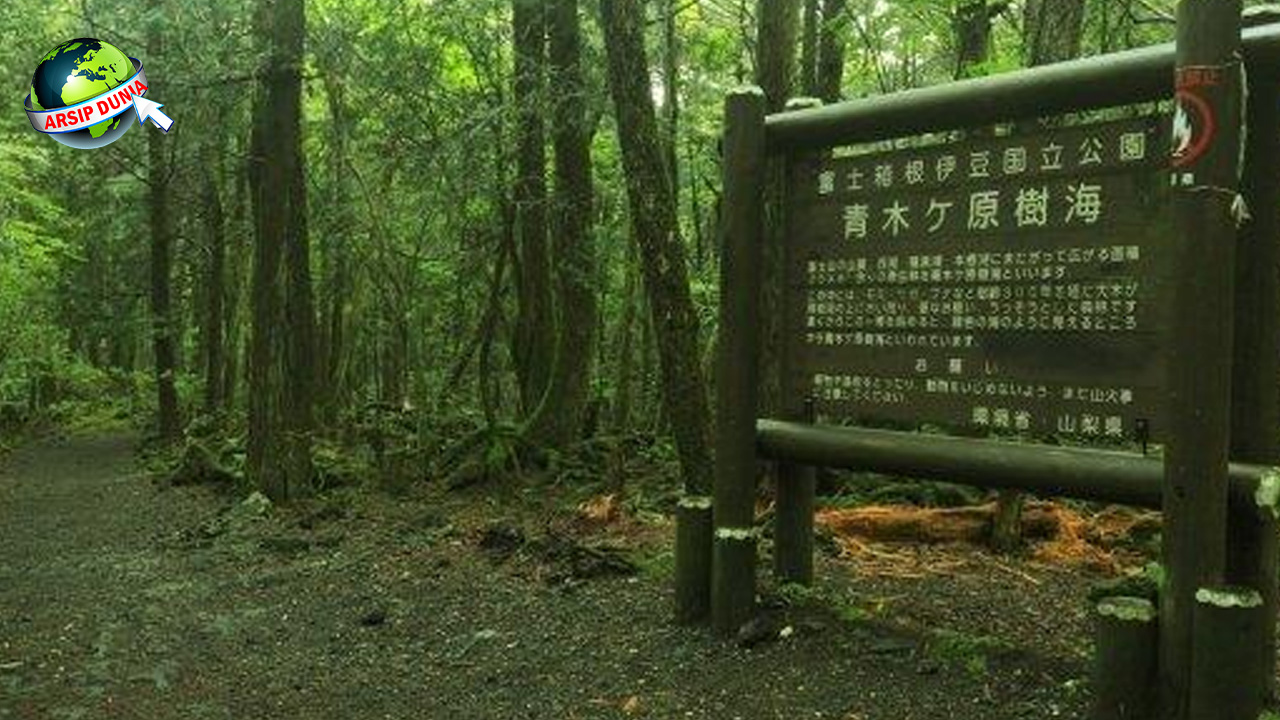 Hutan Aokigahara