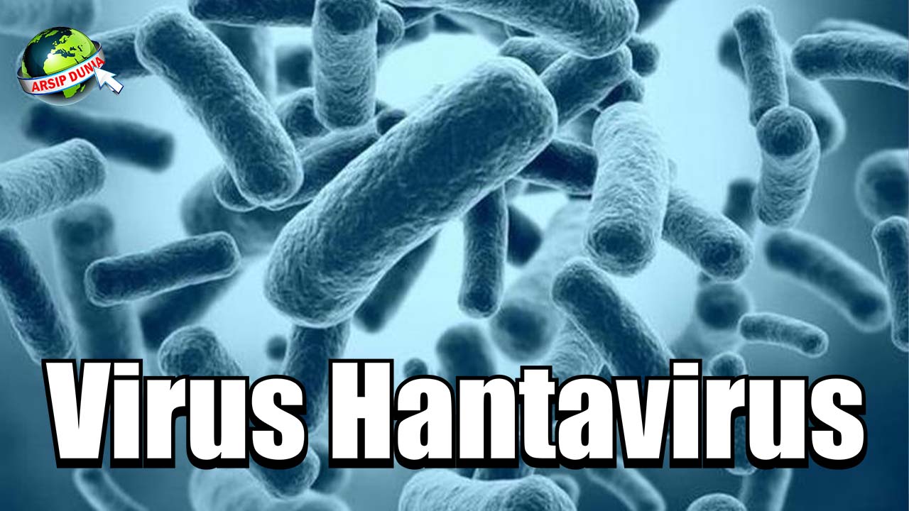 Hantavirus