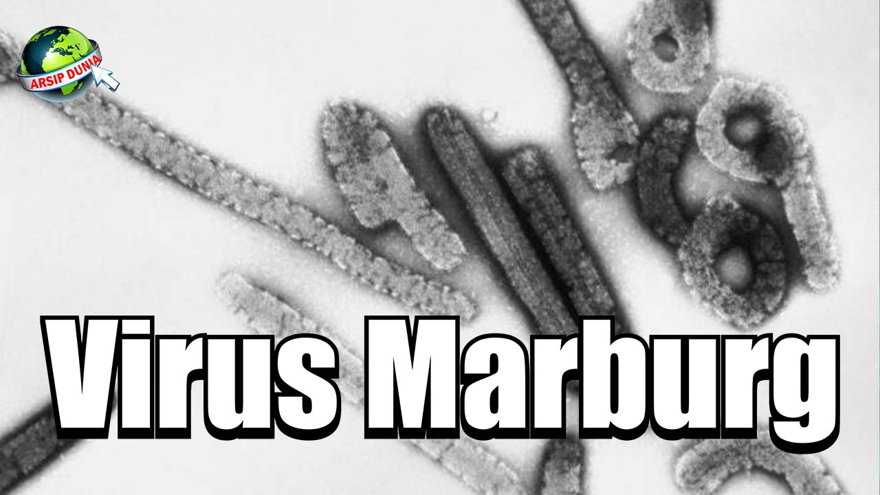 Virus Marburg