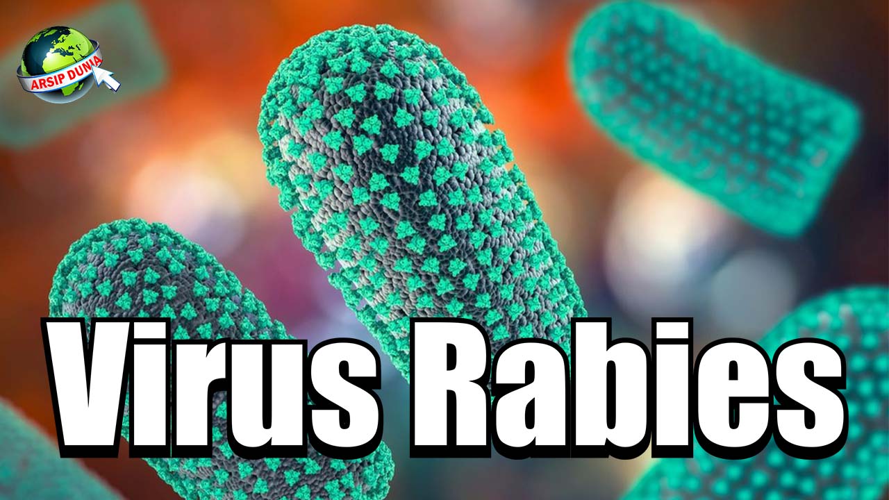 Virus Rabies