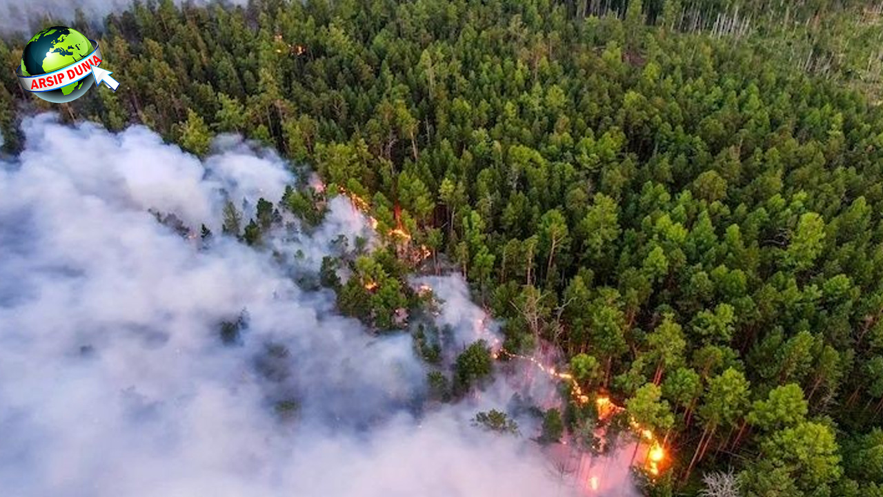 Siberian Taiga