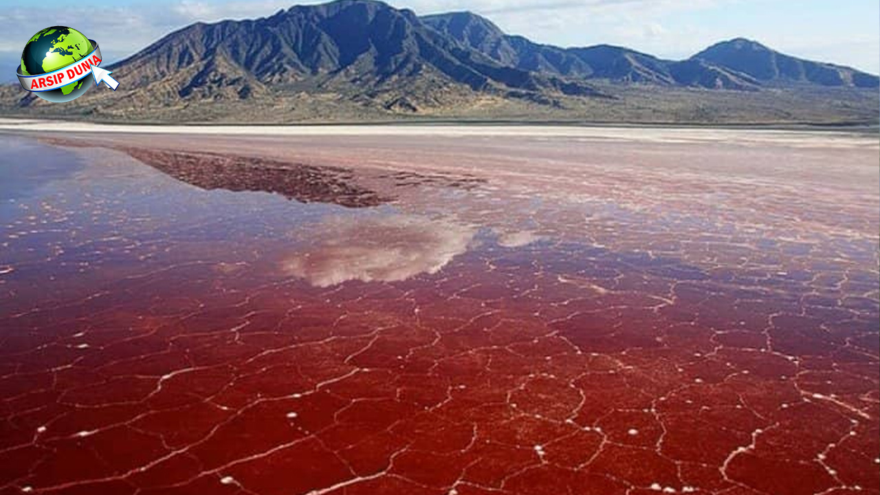 Danau Natron