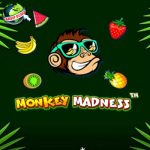 Monkey Madness Mengajakmu Berkuasa di Hutan Penuh Kejutan!