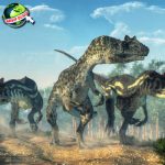 Jejak Allosaurus: Predator Kuat yang Menghuni Bumi di Masa Lalu!