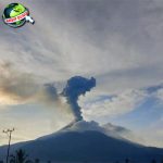 Lewotobi Laki-Laki Erupsi Hebat, Hujan Batu dan Lumpur!